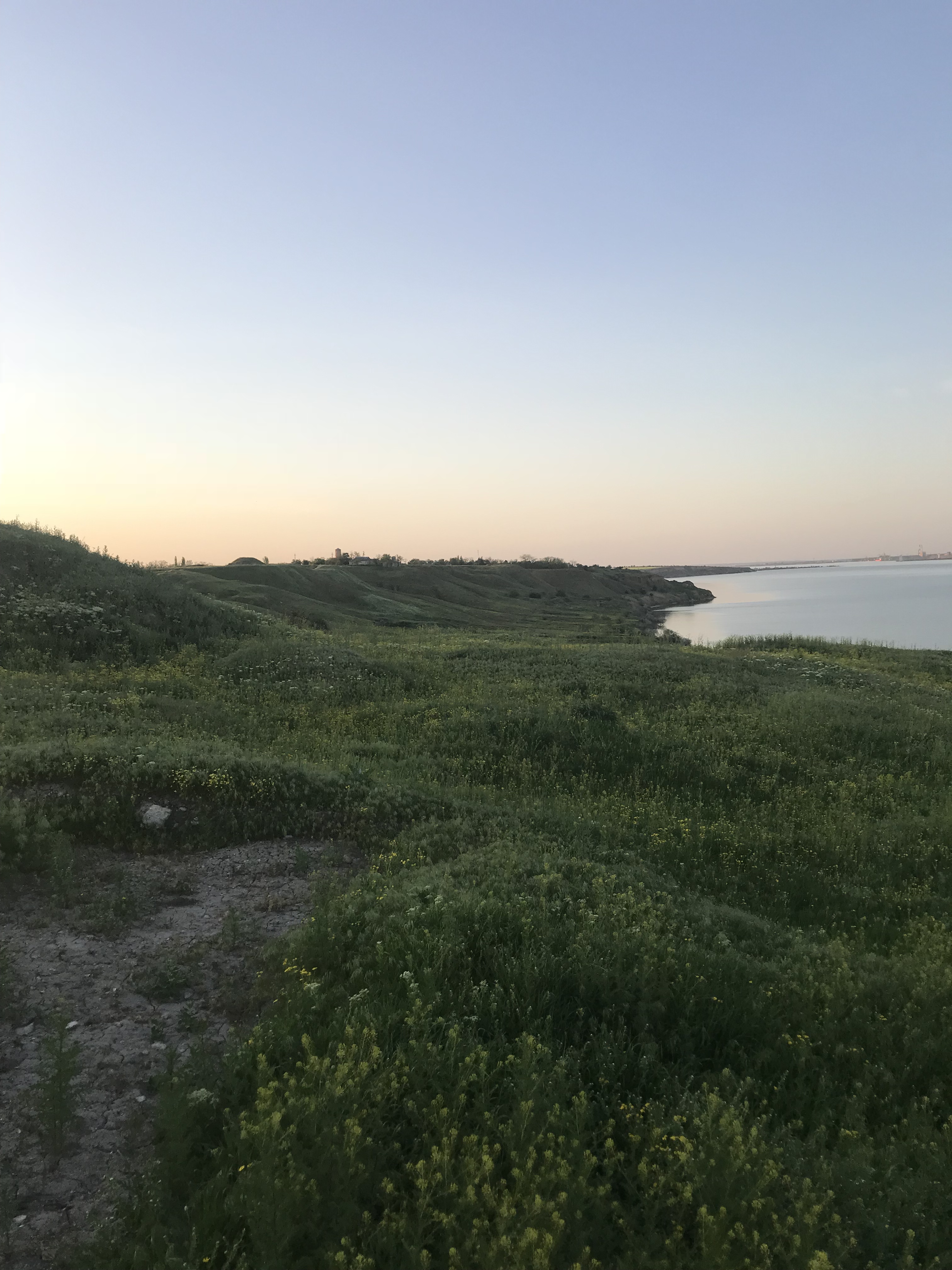 Fragment wykopu, widok od południa 