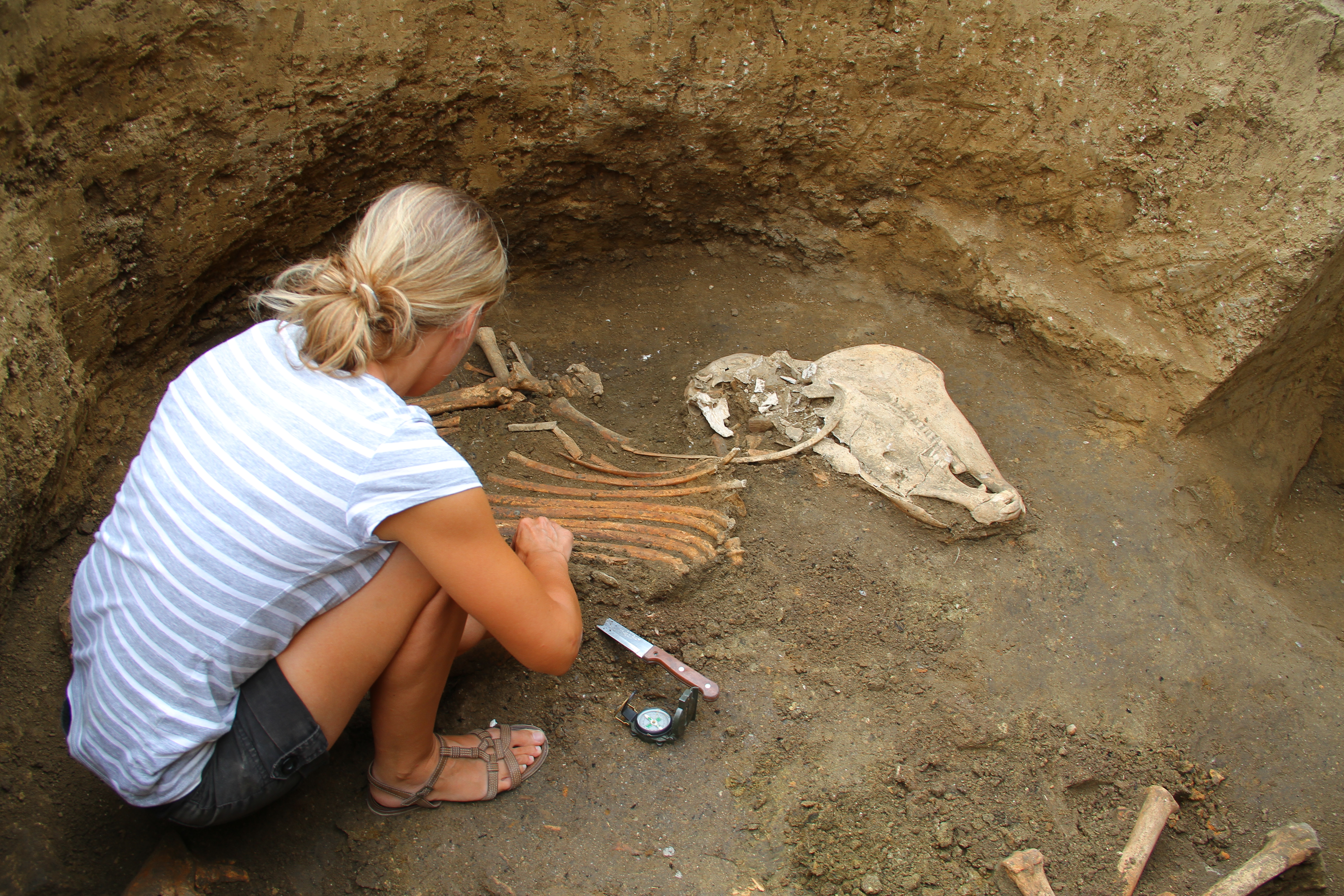 Eksploracja jamy 19 Eksploracja jamy 19