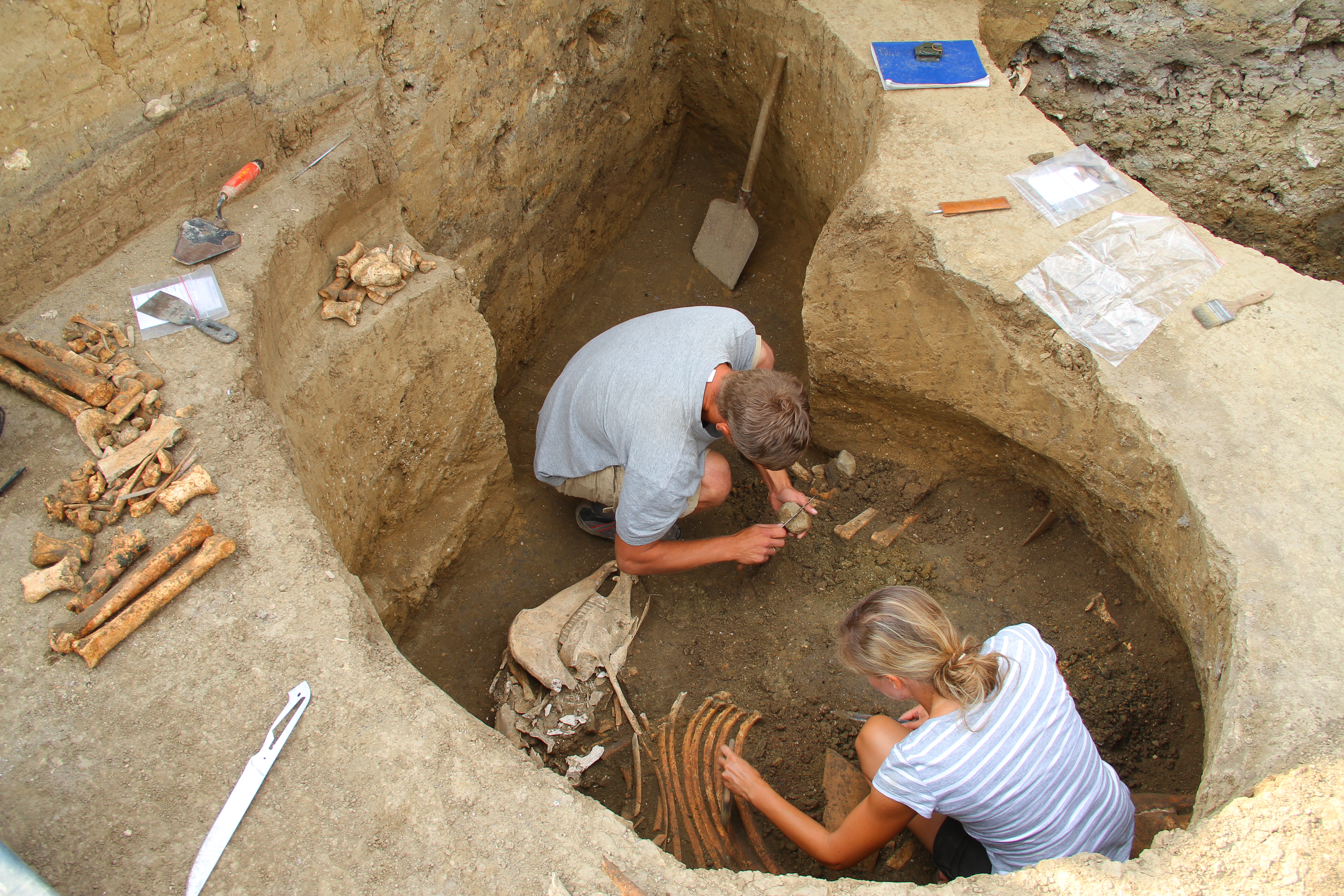 Eksploracja jamy 19 Eksploracja jamy 19