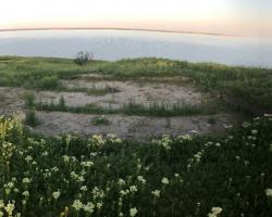 Wykop, widok od zachodu